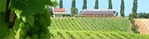 Click for Vineyards open to the public